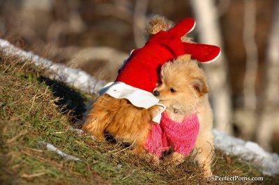 Dec5_07_214.JPG