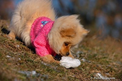 Dec5_07_217.JPG