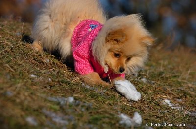 Dec5_07_219.JPG