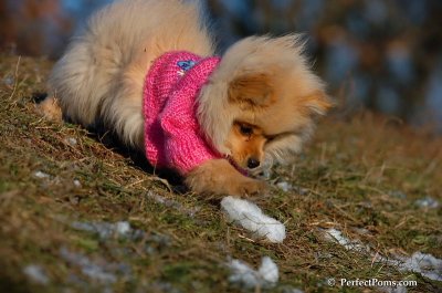 Dec5_07_220.JPG