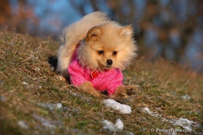 Dec5_07_222.JPG