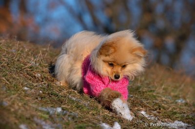 Dec5_07_223.JPG