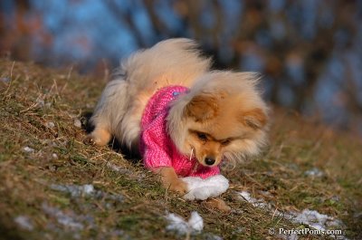 Dec5_07_224.JPG
