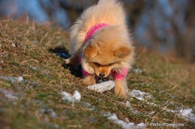 Dec5_07_232.JPG