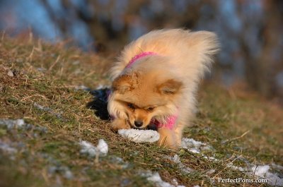 Dec5_07_233.JPG