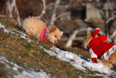 Dec5_07_234.jpg