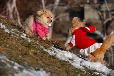 Dec5_07_235.jpg