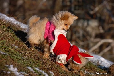 Dec5_07_238.jpg