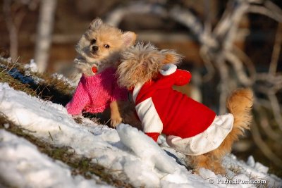 Dec5_07_241.jpg