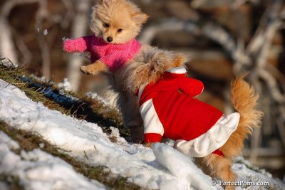 Dec5_07_243.jpg