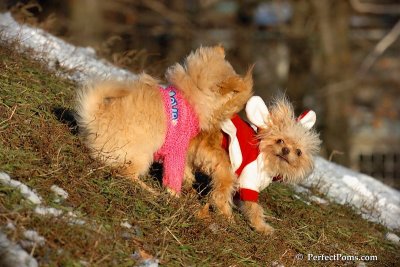 Dec5_07_251.jpg