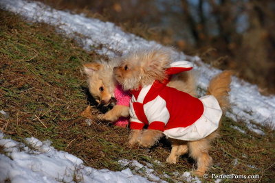 Dec5_07_254.jpg