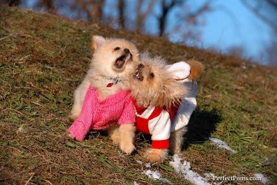 Dec5_07_258.jpg