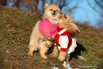 Dec5_07_259.jpg