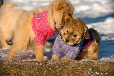 Dec5_07_266.JPG