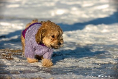 Dec5_07_268.jpg