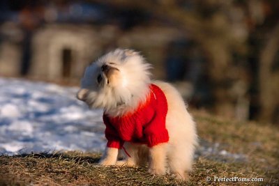 Dec5_07_270.jpg