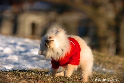 Dec5_07_271.jpg
