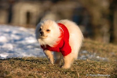 Dec5_07_273.jpg
