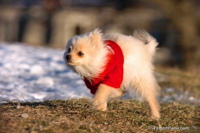 Dec5_07_274.jpg