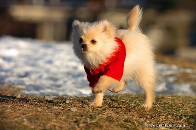 Dec5_07_276.jpg