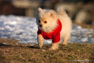 Dec5_07_277.jpg