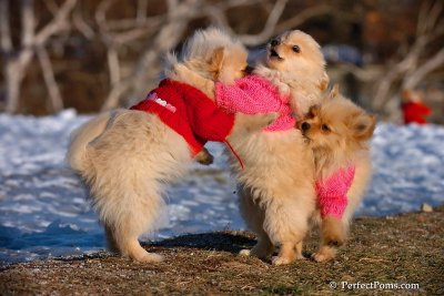 Dec5_07_279.jpg