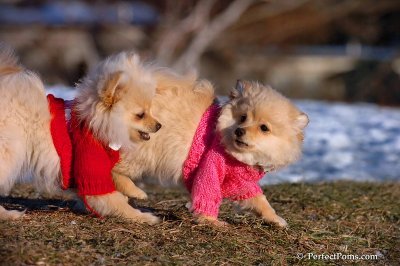 Dec5_07_280.jpg