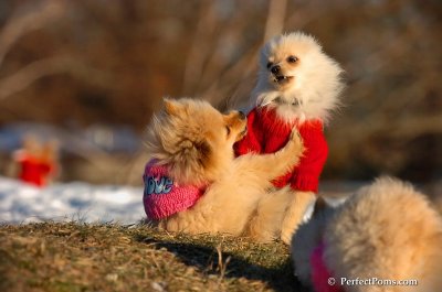 Dec5_07_284.JPG