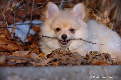 Dec8_07_137.JPG