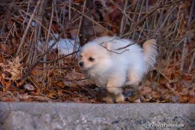 Dec8_07_141.jpg