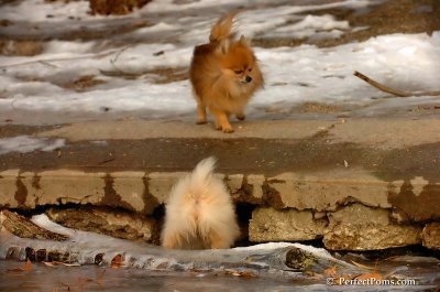 Dec8_07_147.JPG