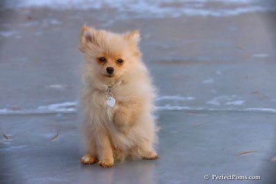 Dec8_07_154.jpg