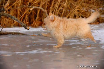 Dec8_07_158.JPG
