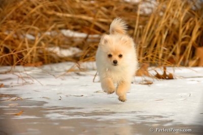 Dec8_07_160.jpg