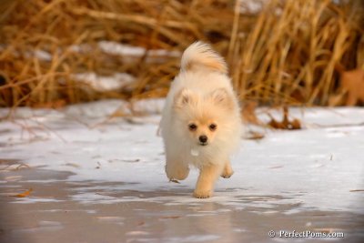 Dec8_07_161.jpg