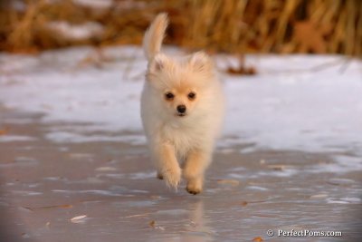 Dec8_07_163.jpg