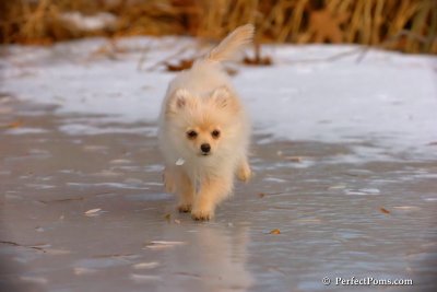Dec8_07_164.jpg