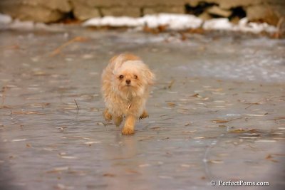 Dec8_07_165.jpg