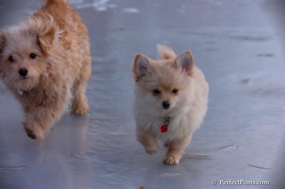 Dec8_07_188.JPG