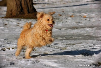 Dec8_07_003.jpg
