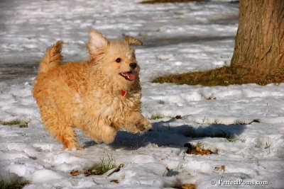 Dec8_07_004.jpg