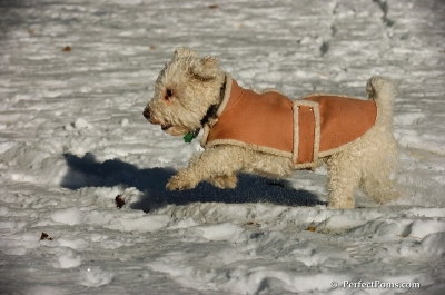 Dec8_07_005.JPG