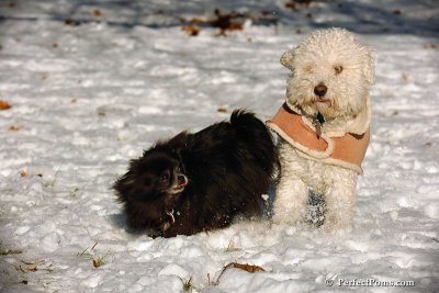 Dec8_07_007.jpg