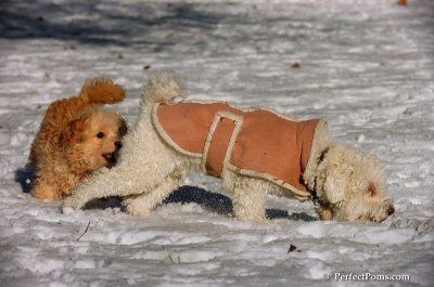 Dec8_07_008.JPG
