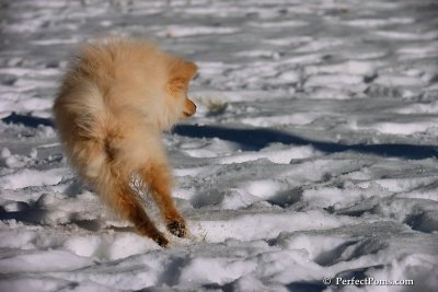Dec8_07_015.jpg