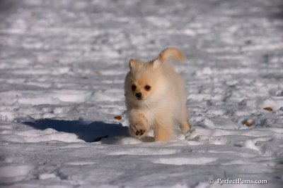 Dec8_07_016.jpg