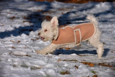 Dec8_07_018.jpg