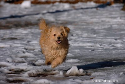Dec8_07_020.jpg