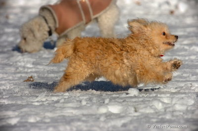 Dec8_07_027.JPG